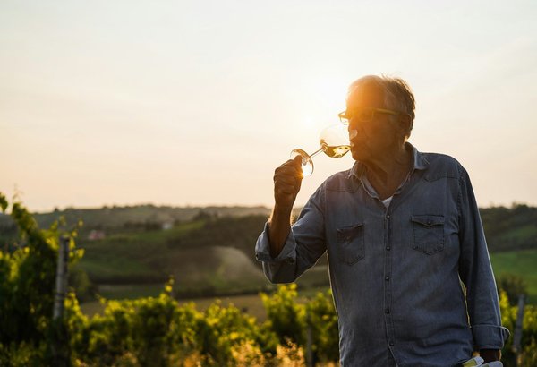Vin biodynamique : une révolution dans l'art de la viticulture
